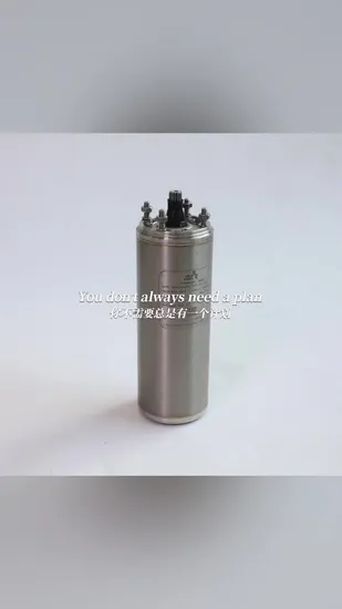 Casted Stainless Steel 316L Borewell Submersible Pumpsets of Mine Industry for Kazakhstan